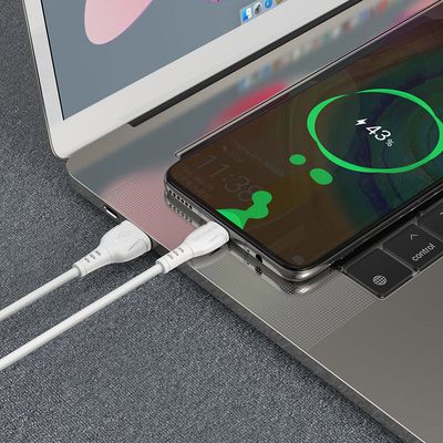 BOROFONE BX51 Triumph charging data cable_img_3