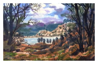 Tranquil Wilderness_img_0