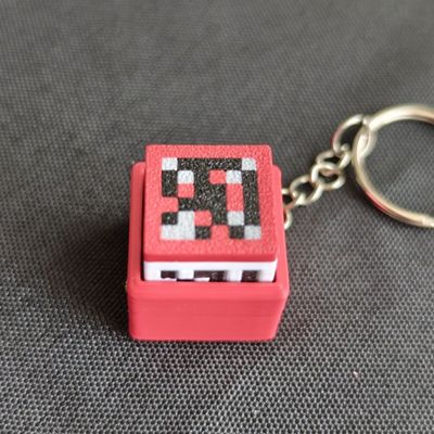Minecraft Themed Switch Tester Keychain with Switch_img_3