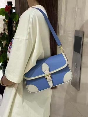 Louis Vuitton baguette |Lv法棍包|_img_0