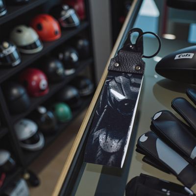 Bajaj Pulsar N160/N250 Premium KeyRing._img_1