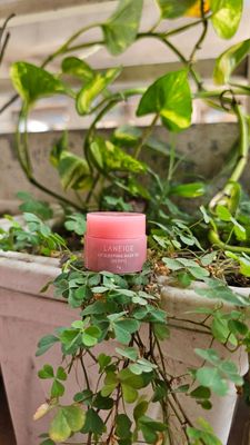 LANEIGE Lip Sleeping Mask EX [Berry]_img_0