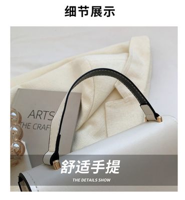 Cross-border Bag Women's Bag 2025 New Trendy Fashionable All-match Shoulder Bag Women's ins Internet Popular Foreign Style Portable Crossbody Bag_img_8