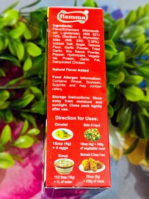 Fiamma Chicken Powder – All-in-One Seasoning | 100g_img_2