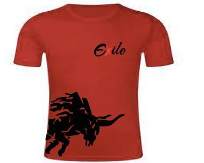 T-shirt_img_3