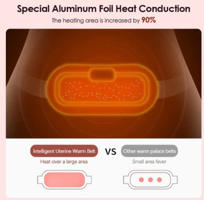 Smart Warm Palace Belt_img_3