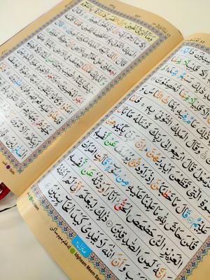 ১১" লাক্সারী নূরানী রেইনবো কোর'আন মাজীদ_img_4