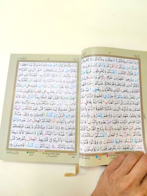 ১০" রেইনবো কালার কোডেড হাফেজী কোর'আন_img_6