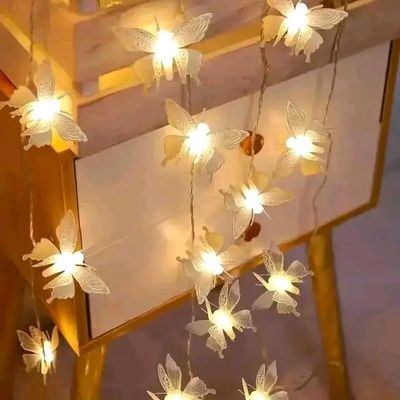 Butterfly LED Lights🦋_img_2