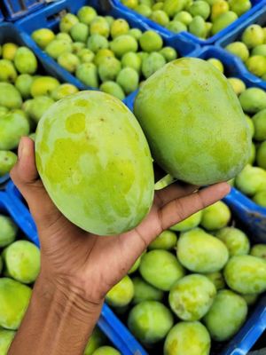রাজশাহীর অর্গানিক ল্যাংড়া আম (Lengra Mango)_img_3