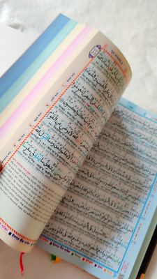 ১০" কারিয়ানা রেইনবো কালার কোডেড কোর'আন মাজীদ_img_3