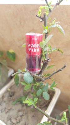 ETUDE Water Tint 💄_img_0