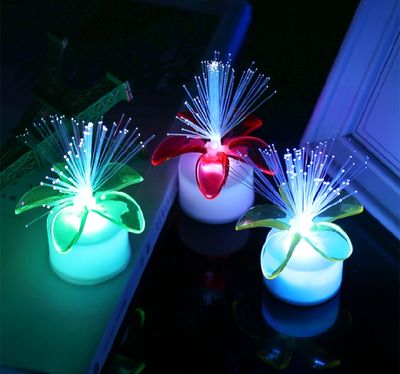 Colorful LED Optic Fiber Flower Light Star Sky Shaped Valentine Party Lamp Day Atmosphere Home Decoration Night Festival_img_2