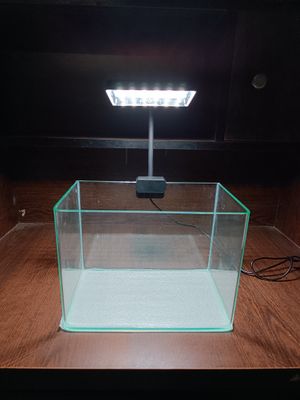 Curved glass fish tank (10x6x7)_img_1