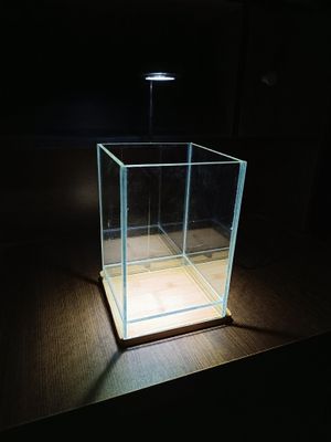 6/6/9 ADA style cristal glass_img_0