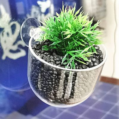 Acrylic glass cup for plants_img_0