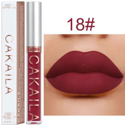 Cakaila Ultimate Long-Lasting Matte Lip Gloss | Shade - 18_img_0