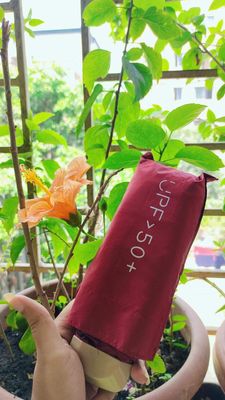Pocket Umbrella_img_14