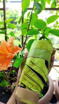 Pocket Umbrella_img_19