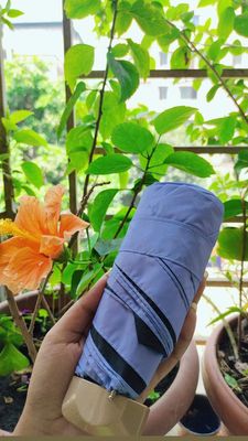 Pocket Umbrella_img_20