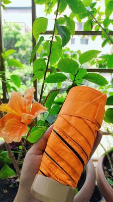 Pocket Umbrella_img_21