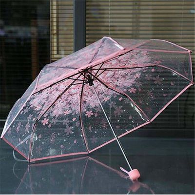 Transparent Umbrella – Stylish Protection in Every Drop!_img_3