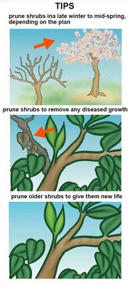 HARDEN 8" Garden Pruner, SK5 Steel Blade, 200mm, Designed to Cut 1.5 cm Diameter Wood, One-Handed Safety Lock; Model 630421_img_5