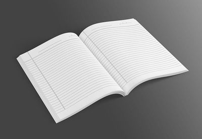 Youngster (Basanti) 200 Page Notebook_img_4