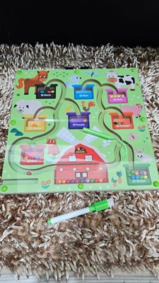 Megnetic colour founding intelligence toy_img_4