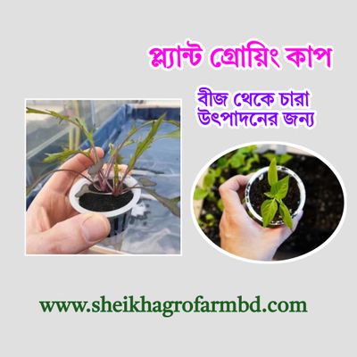 প্ল্যান্ট গ্রোয়িং কাপ_img_0