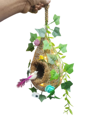 Love Birds Nest_img_0