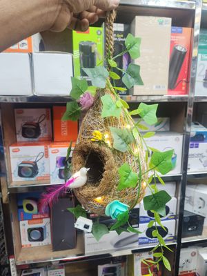 Love Birds Nest_img_1
