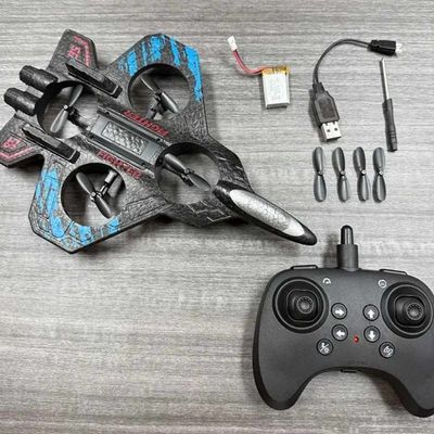 RC Fighter Plane_img_2