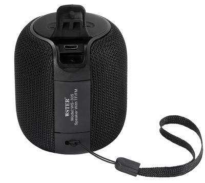 WSTER WS-305 BLUETOOTH Mini Speaker_img_0