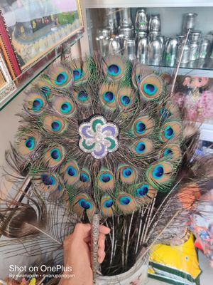 ময়ূর পাখা_img_2