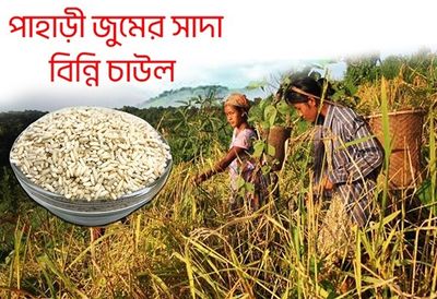 সাদা বিন্নি চাল_img_4