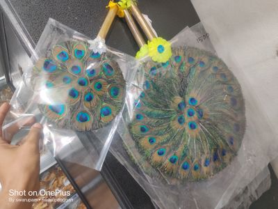 ময়ূর পাখা_img_1