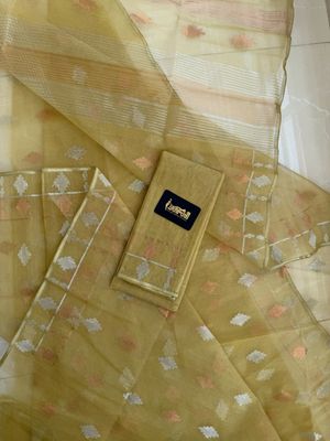 Gold🥻_img_4