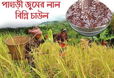 লাল বিন্নি চাল_img_0