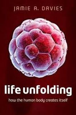 Life Unfolding: How the human body creates itself_img_0