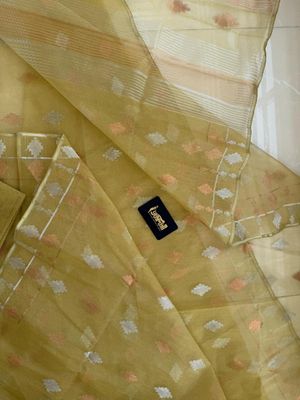 Gold🥻_img_5