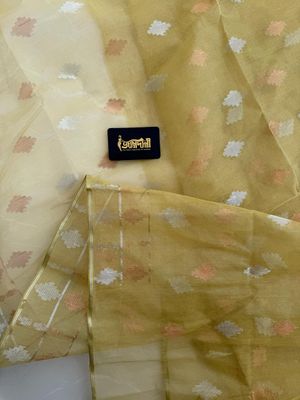 Gold🥻_img_11