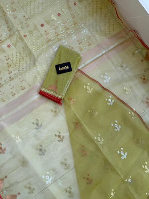 Golden!!_img_5