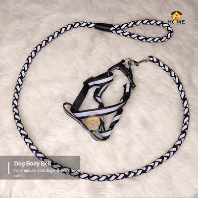 Harness_img_0