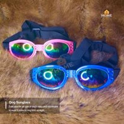 Dog Sunglass_img_1