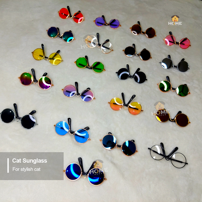 Round shape cat sunglass_img_1