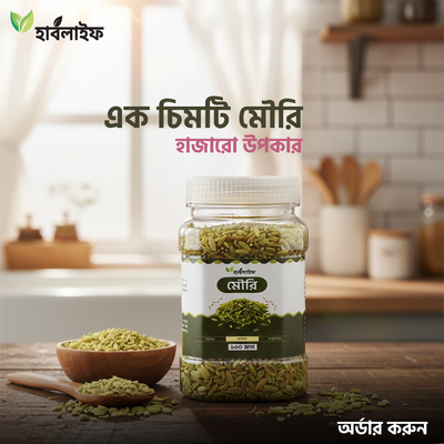 মৌরি / Fennel (১৫০ গ্রাম )_img_0