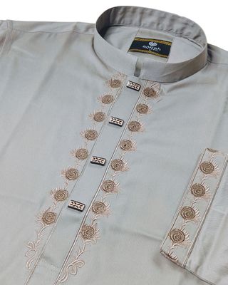 Regal Ash Embroidery Panjabi_img_1
