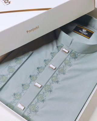 Royal Mint Embroidery Panjabi_img_1
