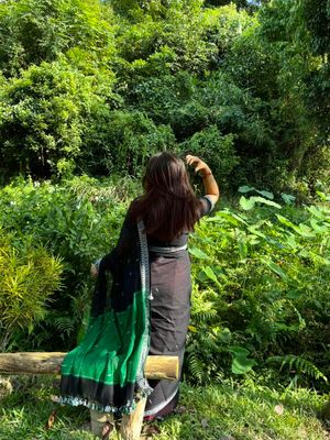 Black classic Handloom Sharee_img_3